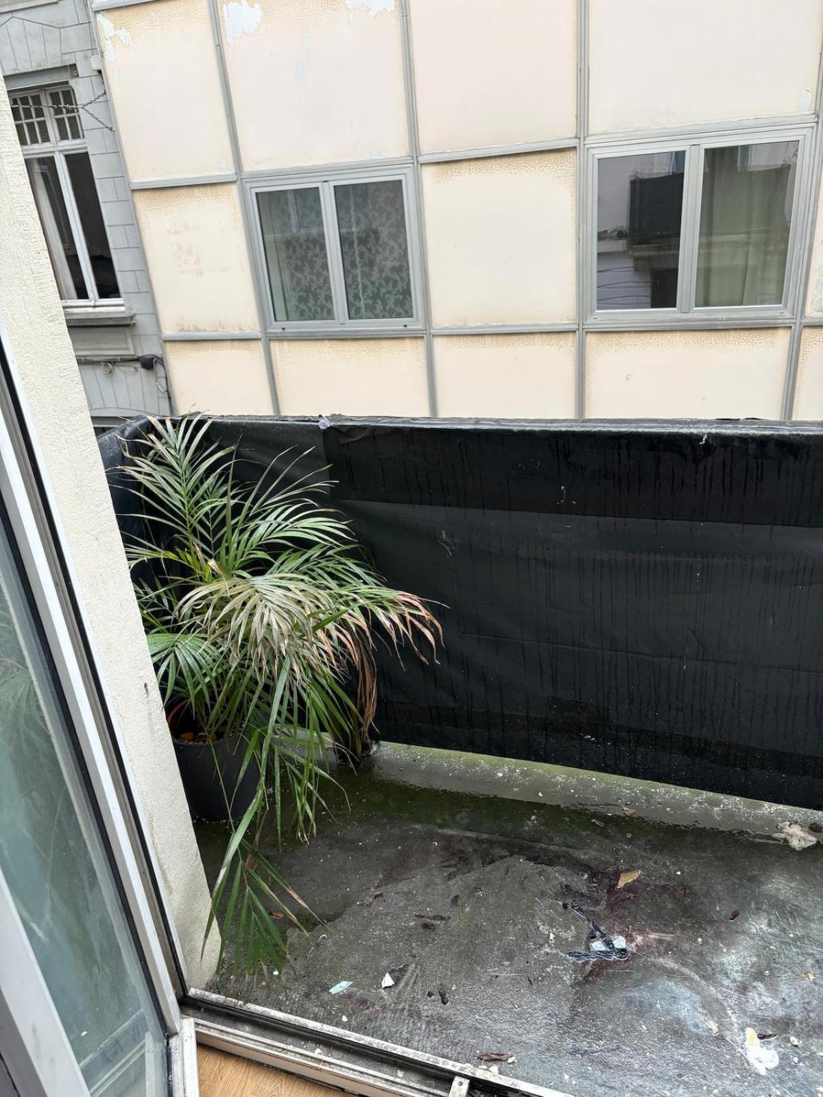 Your Haven Of Peace! Brussels Exterior photo